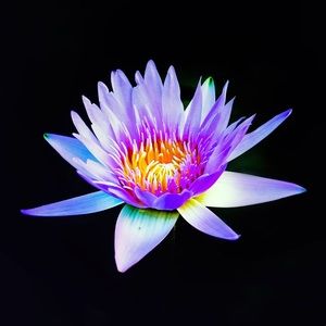 Meet your Posher, Tianna